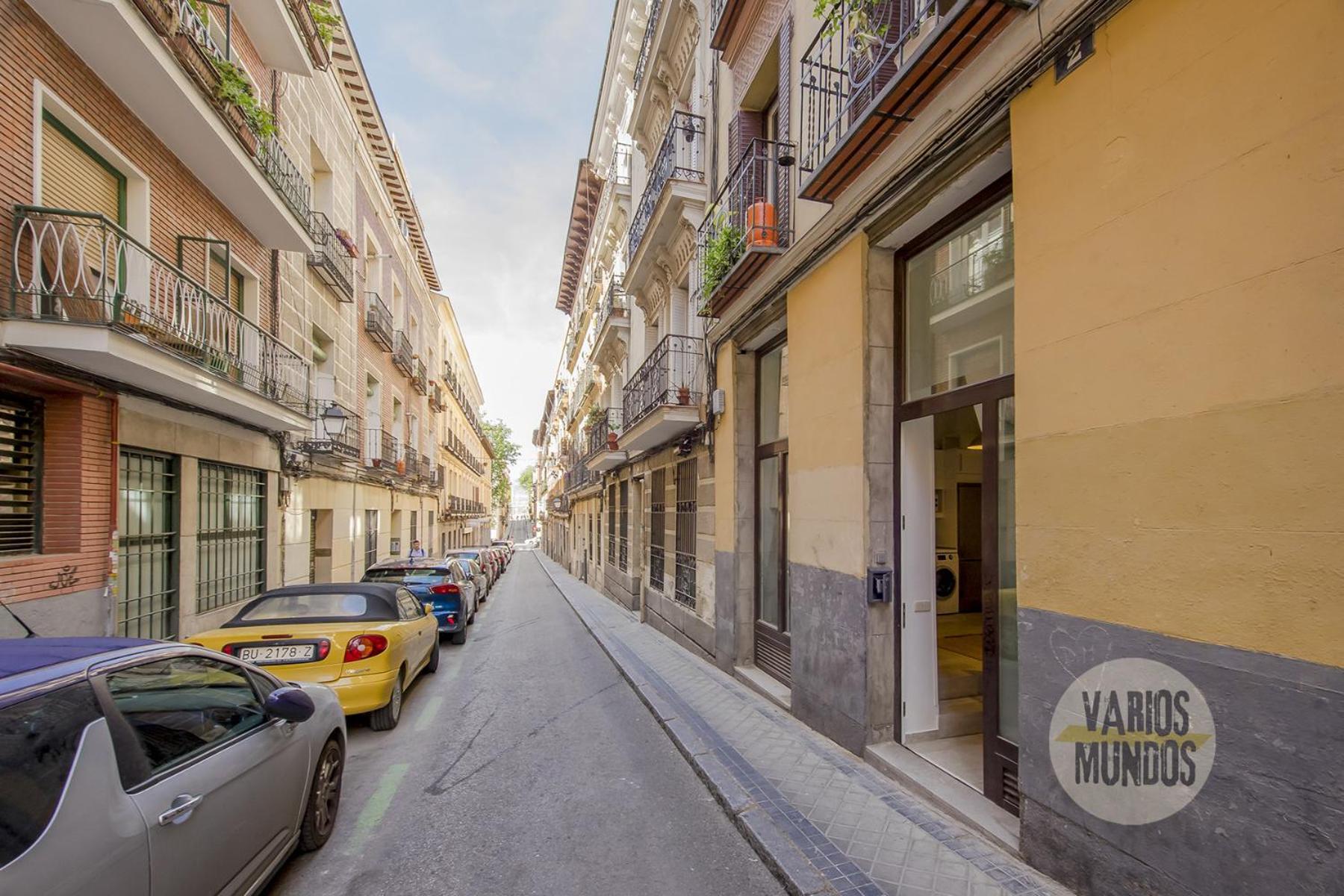 Stylish Loft With 2 Beedrooms En El Centro - La Latina E2 Apartment Madrid